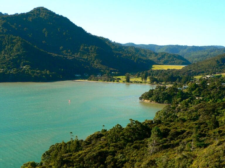 Huia Settlers Museum Review museum image