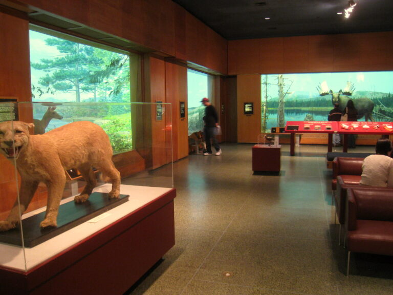 Museum of Science, Boston, MA - IMG 3282