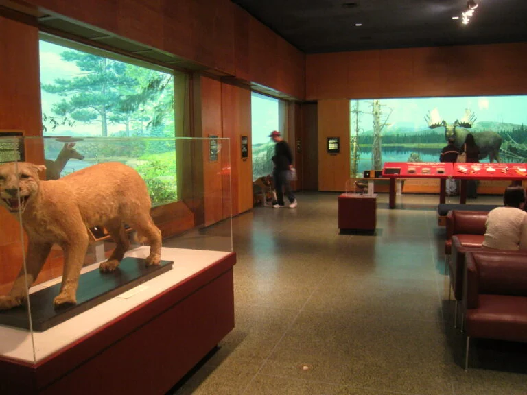 Museum of Science Boston real museum photo