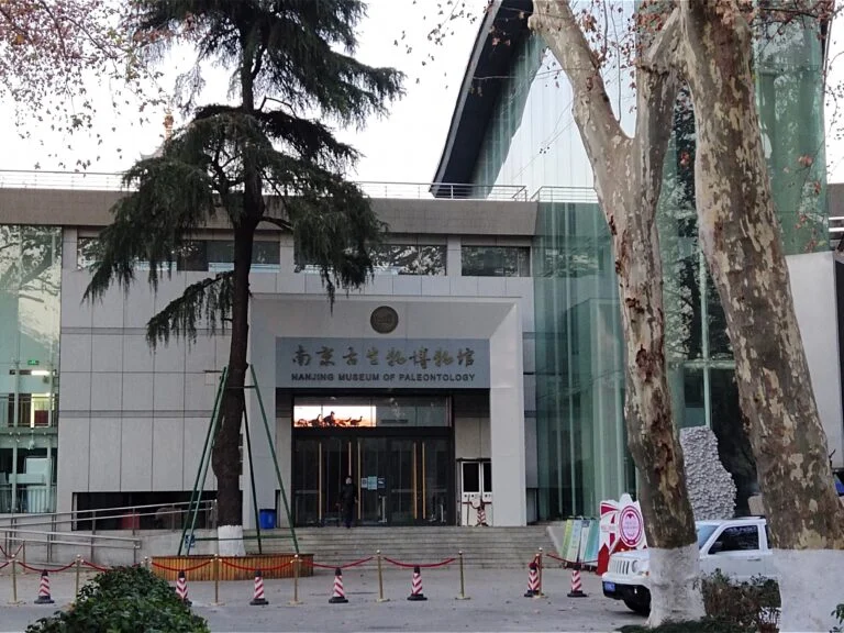Nanjing Museum real museum photo
