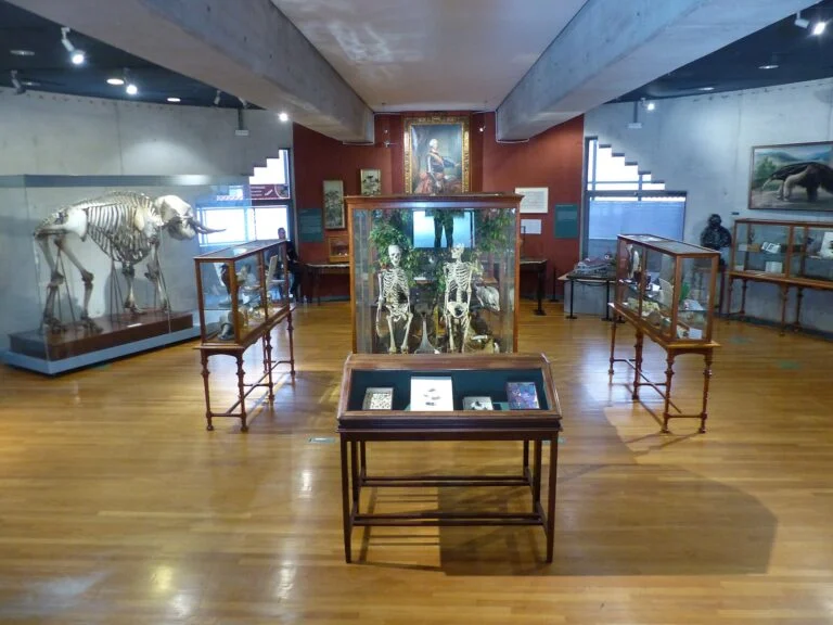 Interior del Museo Nacional de Ciencias Naturales de Madrid, España, 2017 05