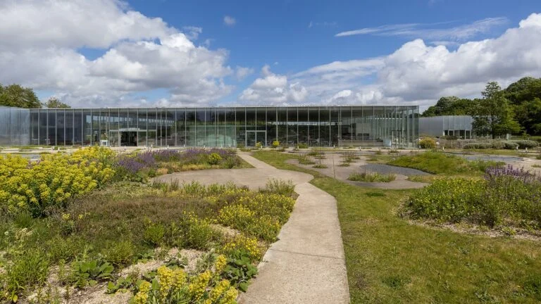 Louvre-Lens