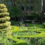 Garden of The Garden Museum, London