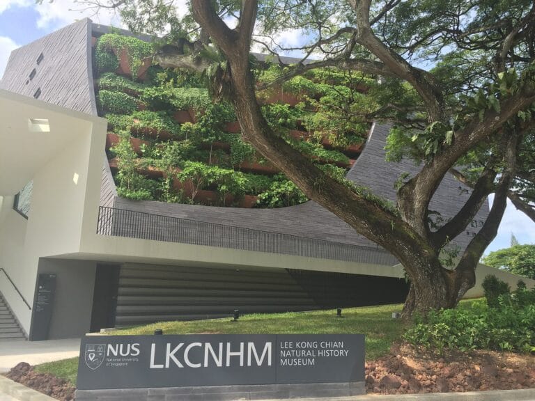Lee Kong Chian Natural History Museum, NUS, Singapore