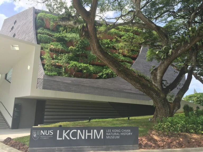 Lee Kong Chian Natural History Museum, NUS, Singapore